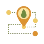 fruit_ripening_roadmap_icon